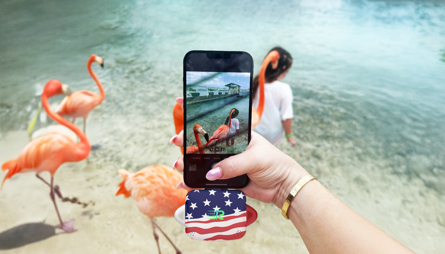 Person taking a photo of flamingos with a phone on a beach