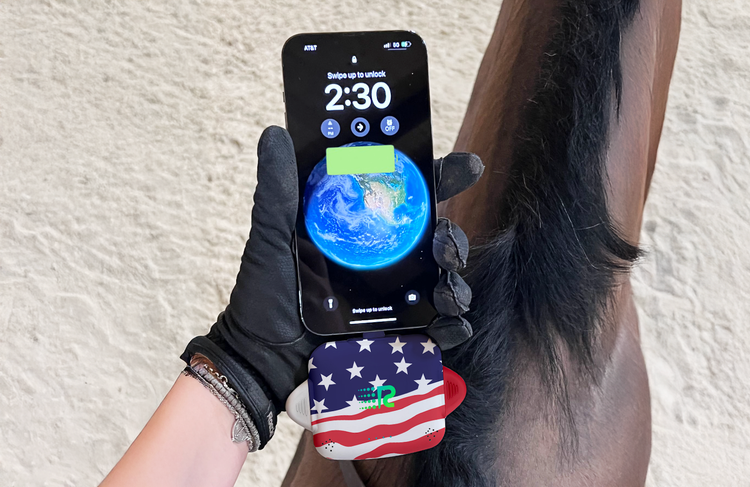 Hand wearing a black glove holding a smartphone with a horse's ear in the background