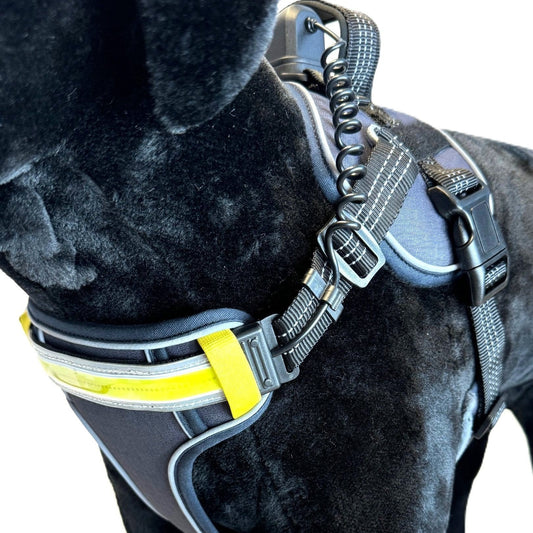 Lumi One Dog Harness - Black