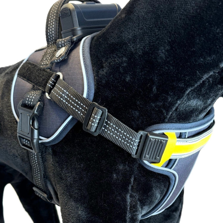 Lumi One Dog Harness - Black