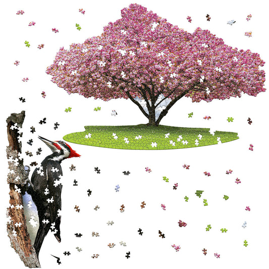 NATURE LOVERS BUNDLE: I AM CHERRY BLOSSOM 1000 & I AM WOODPECKER 300