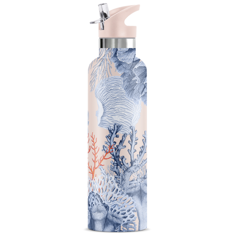 Del Mar | Seahorse 25oz. Insulated Water Bottle - My Bougie Bottle