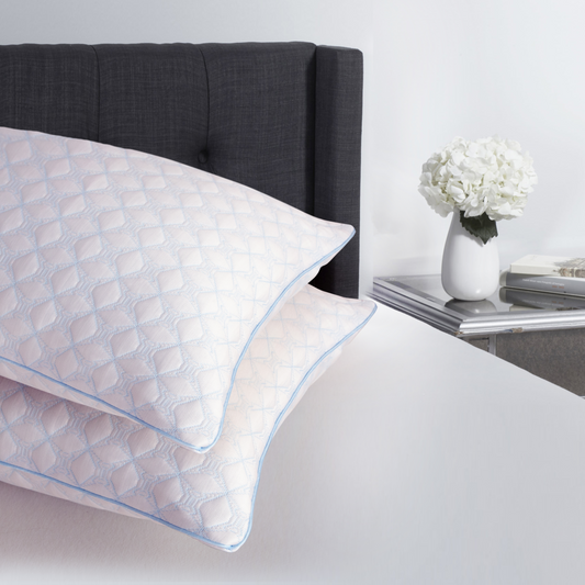 Dan River 2 Pack Ice Cooling Pillow Set (Filled in USA)
