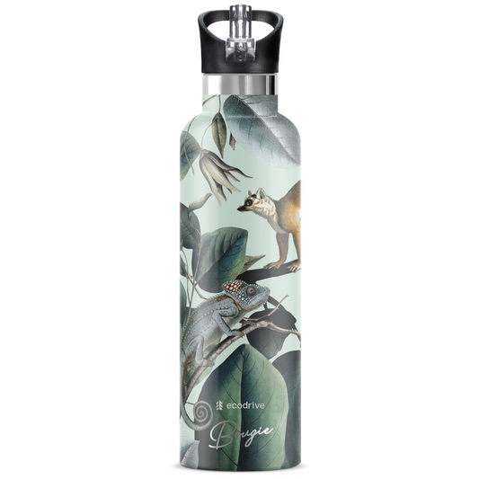 Ecodrive | Lemeur 25oz. Insulated Water Bottle - My Bougie Bottle
