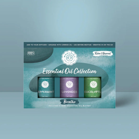 Dog-shaped diffuser with a box of essential oil collection on a light blue background