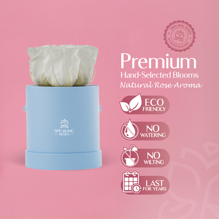Blue container with white rose petals on a pink background, featuring the brand 'Speaking Roses'.