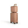 2-Piece Carry-On Luggage Set