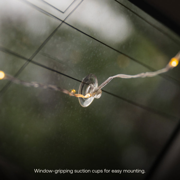 String lights with window-gripping suction cups on a reflective surface.