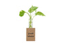 Fridge Magnet Planter Growth Mindset With Test Tube