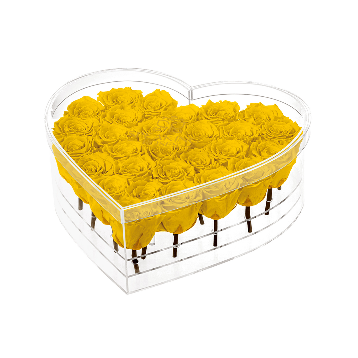 Heart-shaped transparent box filled with yellow roses on a white background
