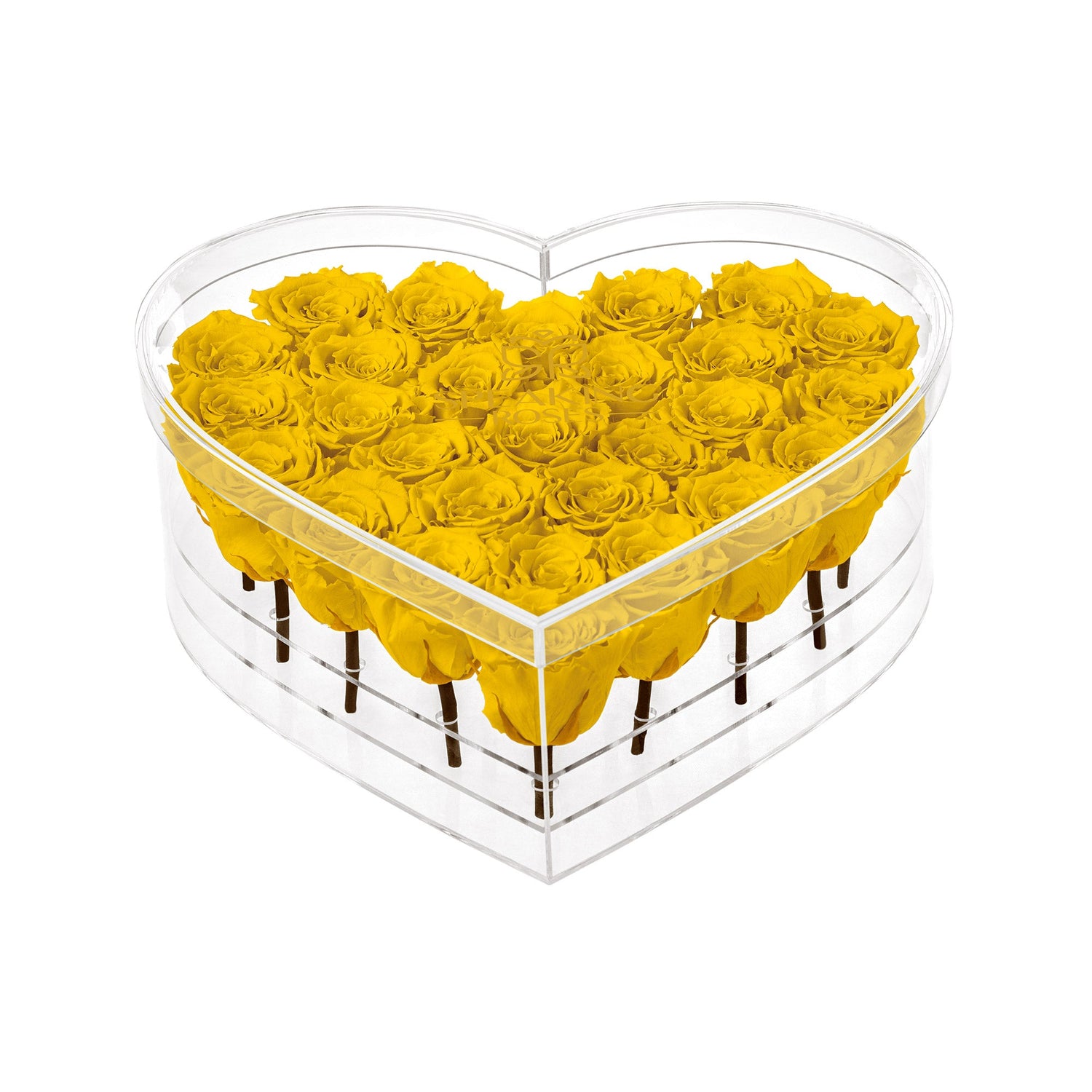 Heart-shaped box filled with yellow roses on a white background