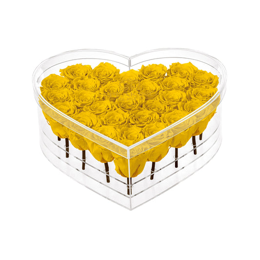 Heart-shaped box filled with yellow roses on a white background