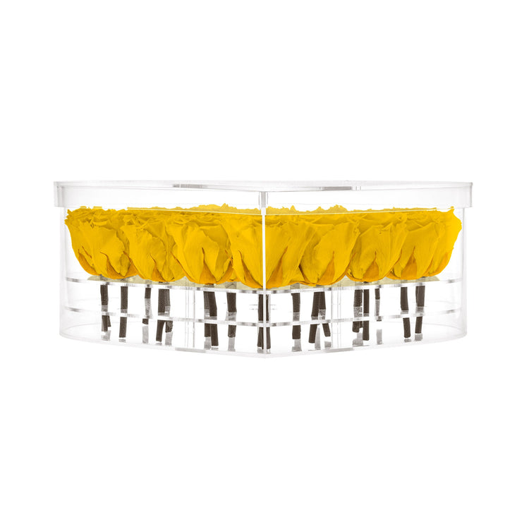 Clear cylindrical container with yellow rose petals on a white background