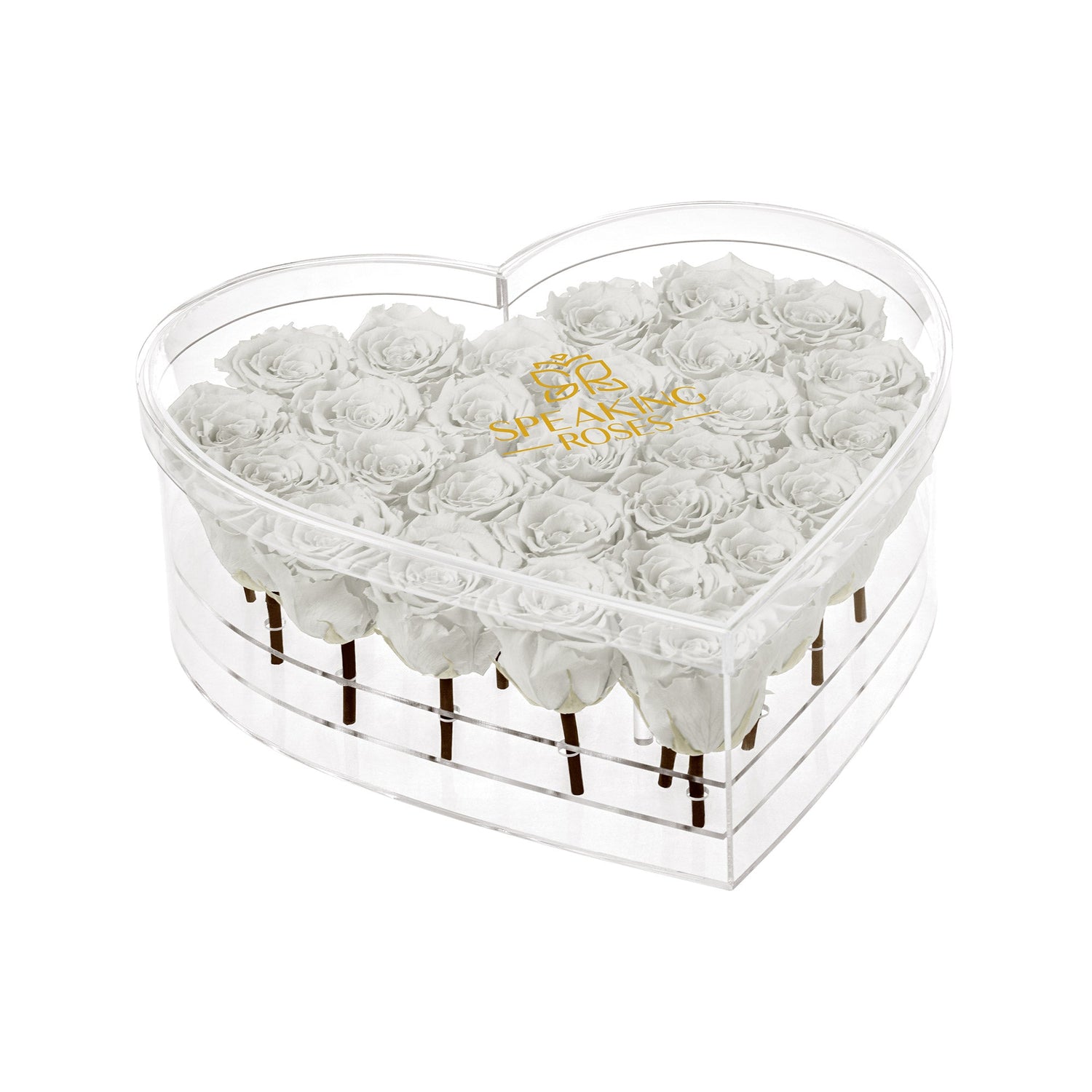 Heart-shaped box with white roses and 'Forever Roses' branding on a white background