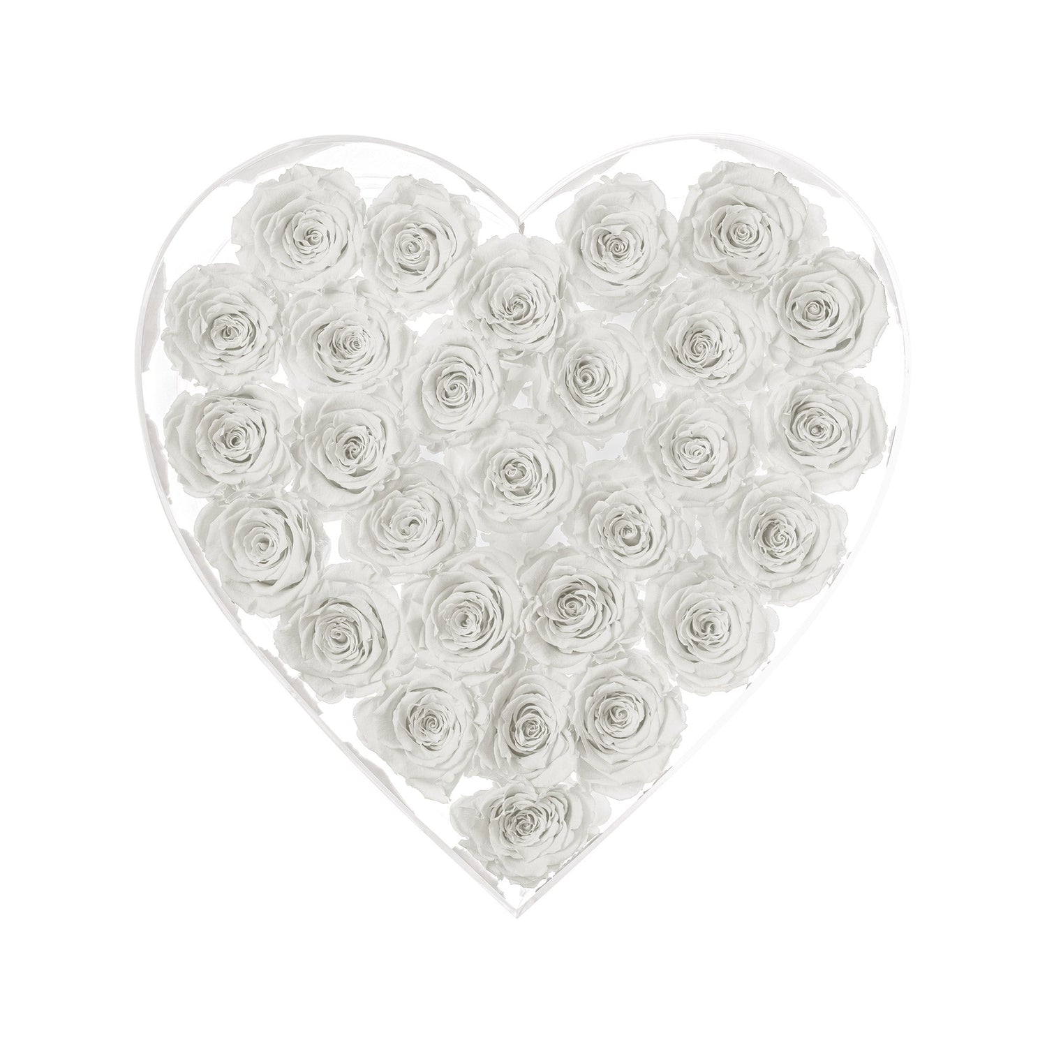 Heart-shaped arrangement of white roses in a clear box on a white background