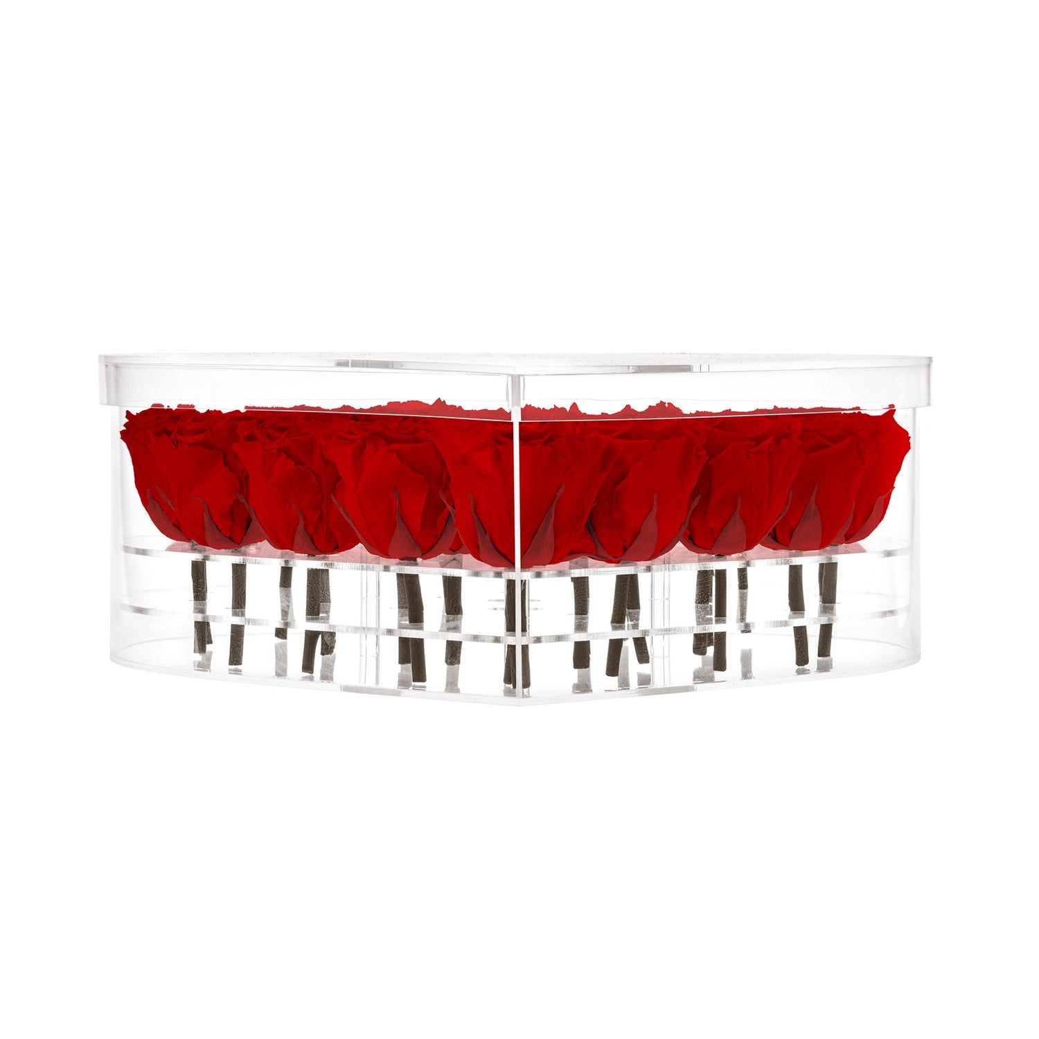 Clear cylindrical container with red roses on a white background
