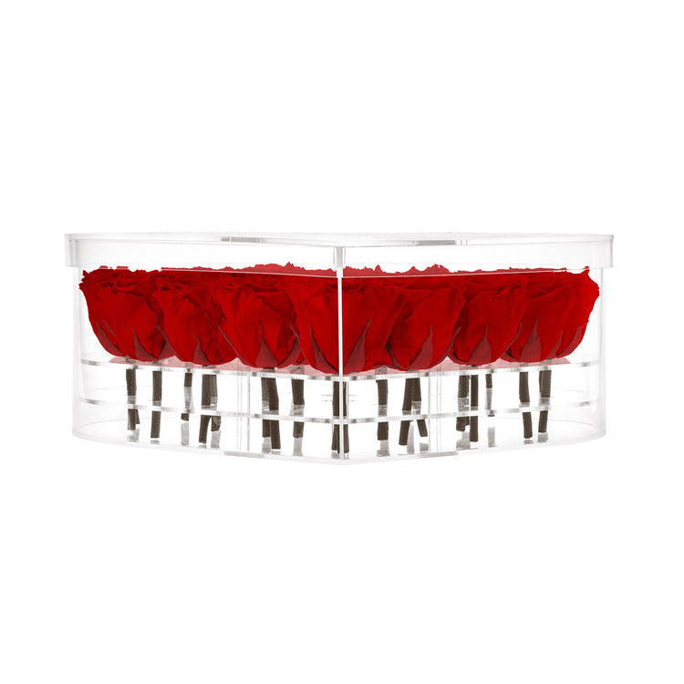 Clear cylindrical container with red roses on a white background