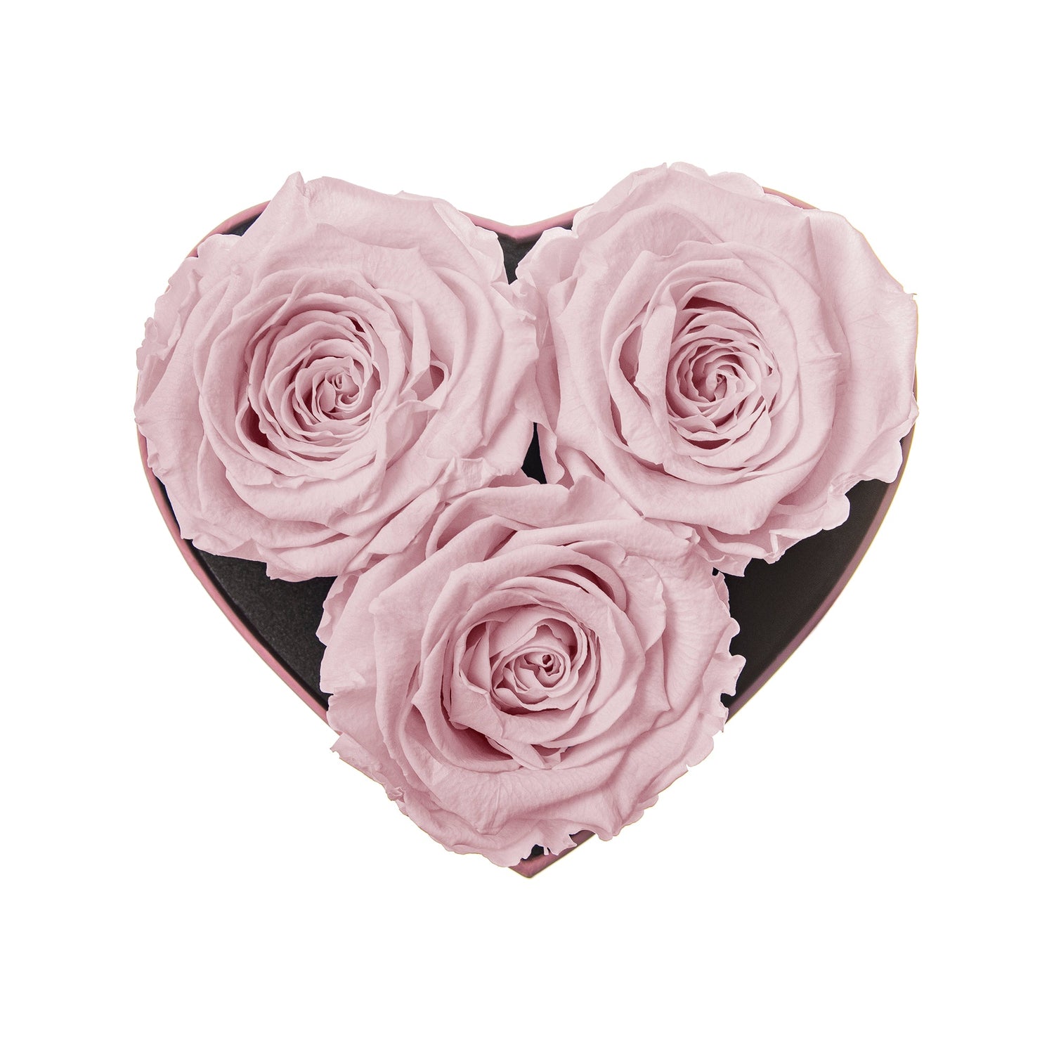 Heart-shaped box with three pink roses on a white background