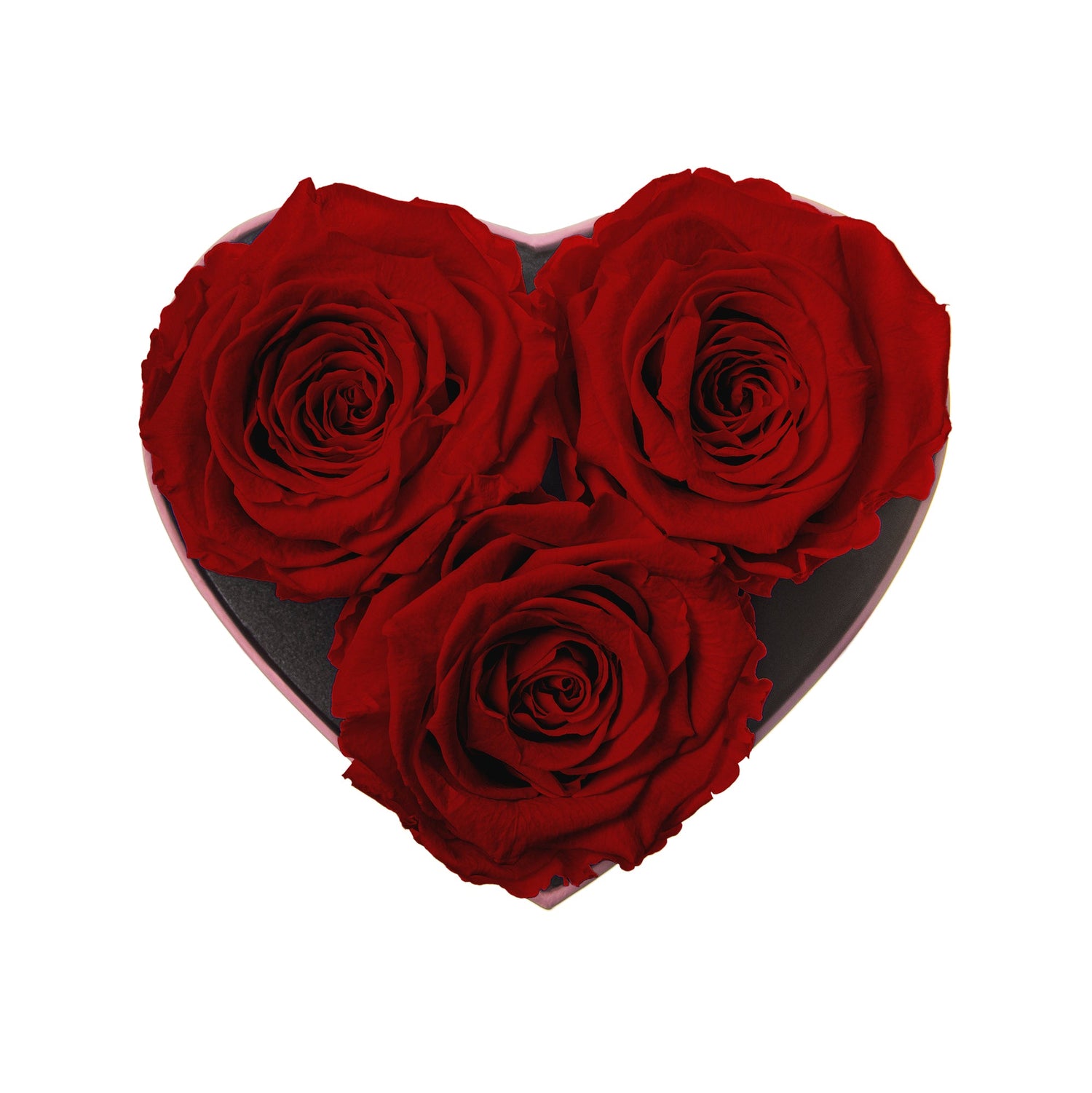 Heart-shaped box with three red roses on a white background