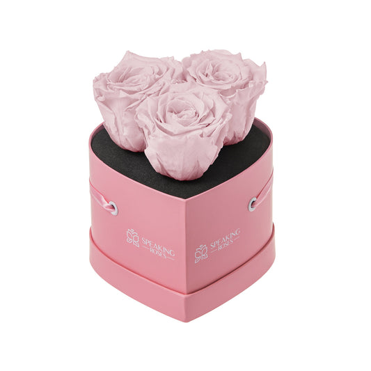 Pink heart-shaped box with preserved pink roses on a white background