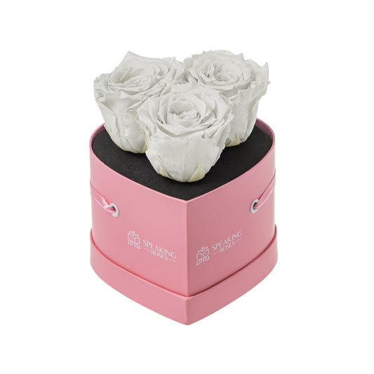 Pink box with white roses on a white background