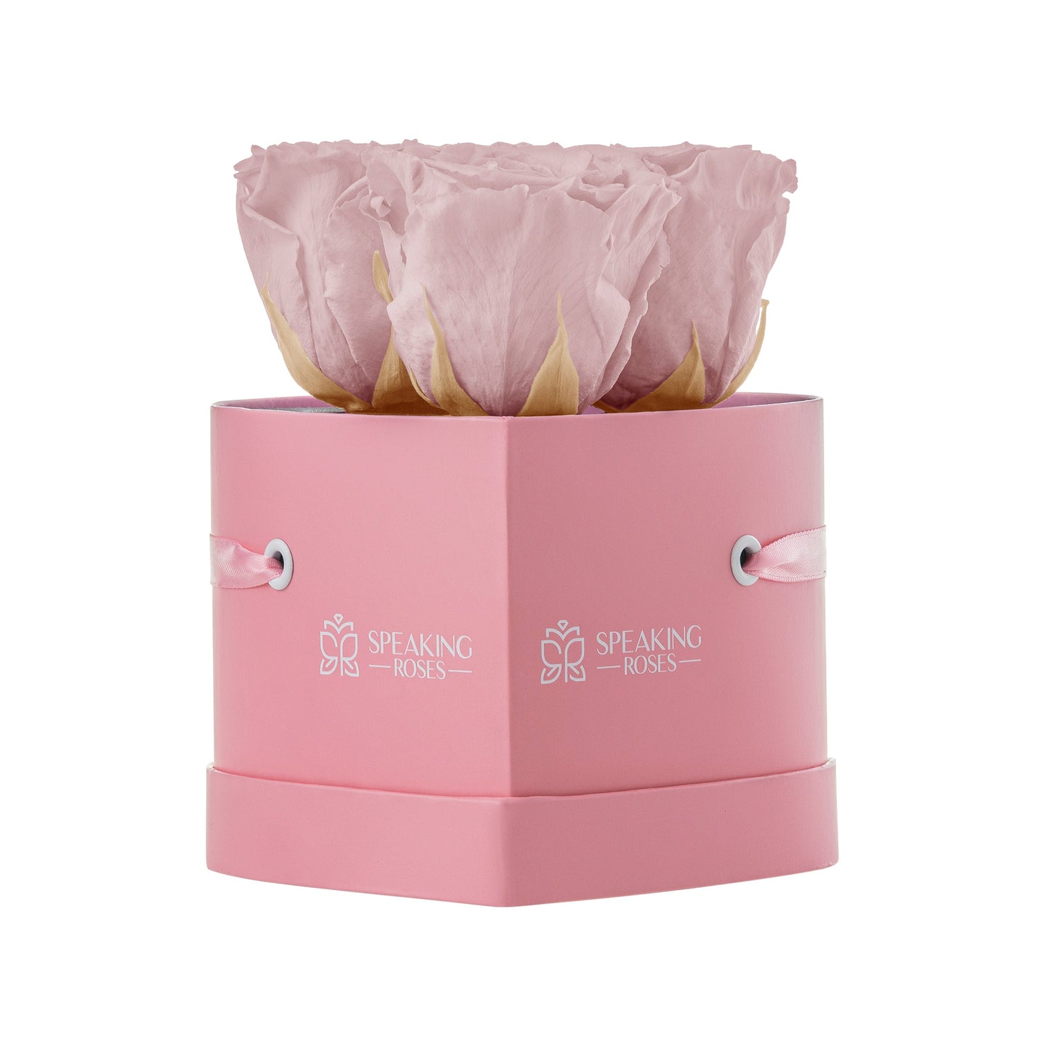Pink box with a preserved rose inside, branded 'Speaking Roses'.