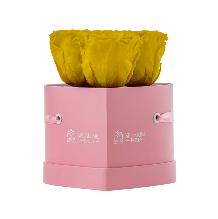 Pink box with yellow flower inside, branded 'Speaking Roses'.