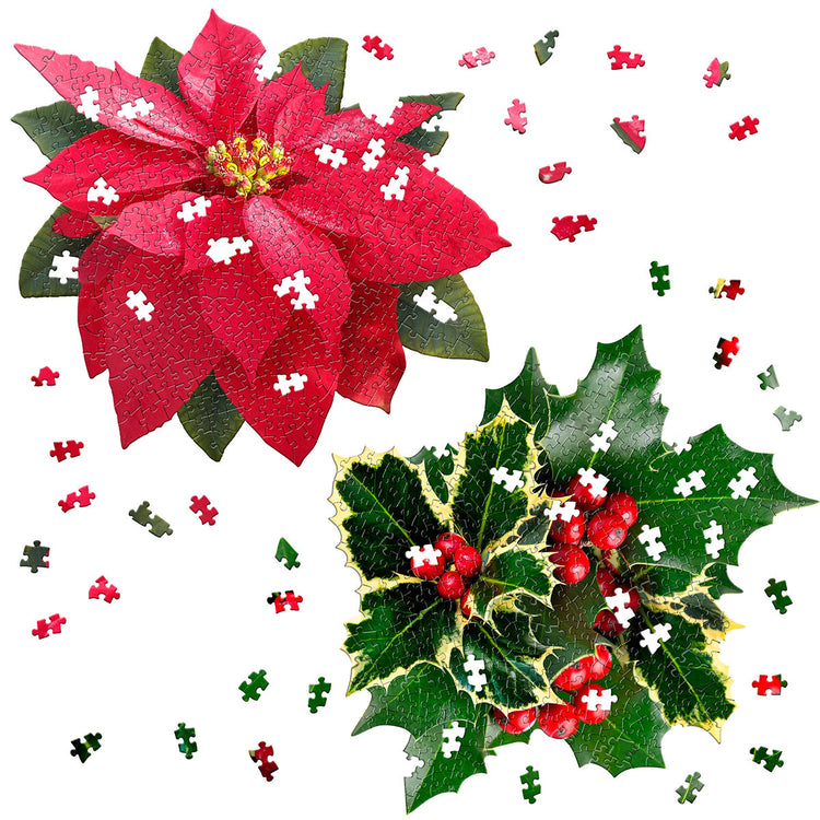 HOLIDAY FLORAL BUNDLE:  I AM POINSETTIA 350 & I AM HOLLY 350