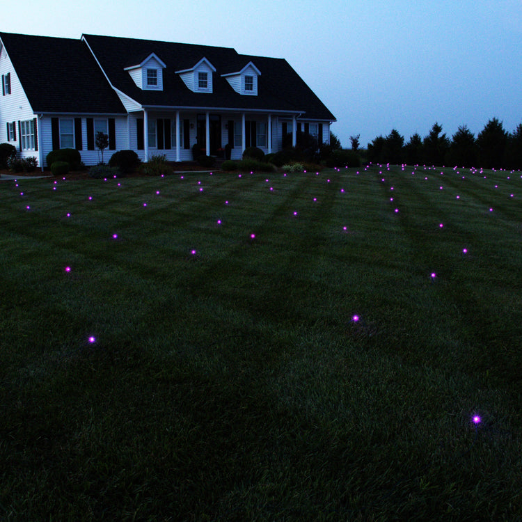 Additional Lawn Lights Pro Light String, each covers an additional 1634 sq. ft.