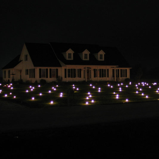 Additional Lawn Lights Pro Light String, each covers an additional 1634 sq. ft.