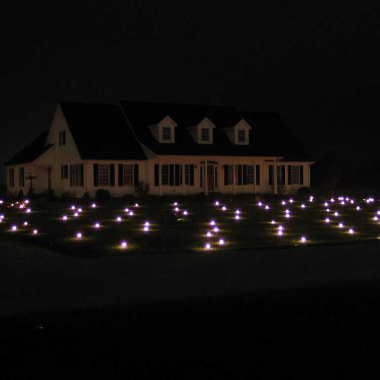 Additional Lawn Lights Pro Light String, each covers an additional 1634 sq. ft.