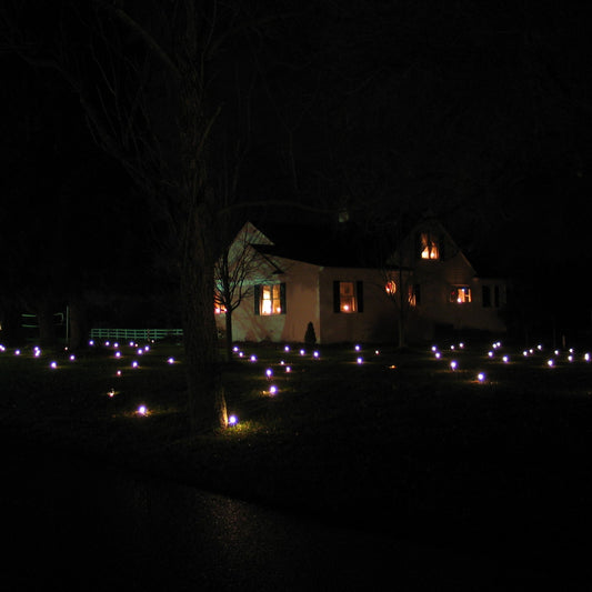 Additional Lawn Lights Pro Light String, each covers an additional 1634 sq. ft.