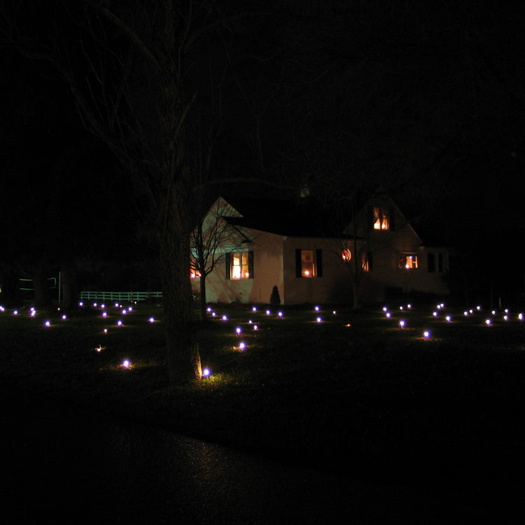 Additional Lawn Lights Pro Light String, each covers an additional 1634 sq. ft.