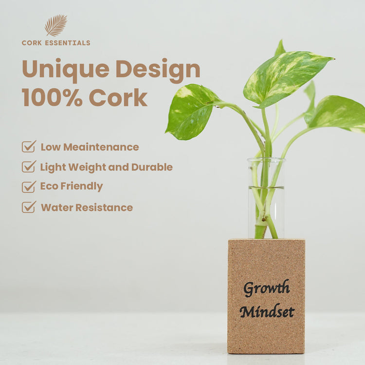 Fridge Magnet Planter Growth Mindset With Test Tube