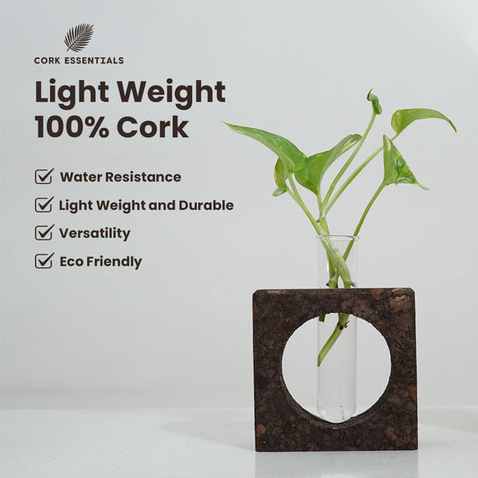 Clear glass vase with plant in a dark brown square holder on a white background