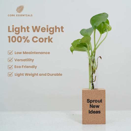 Green potted plant in a pot with 'Sprout New Ideas' text on a white background