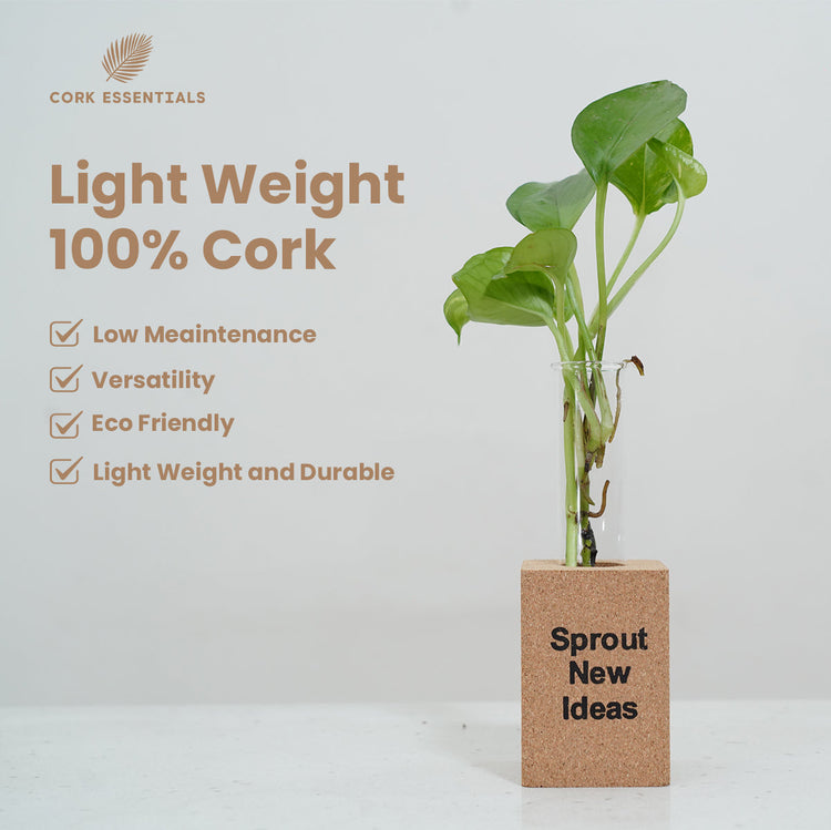 Fridge Magnet Planter Sprout New Ideas With Test Tube