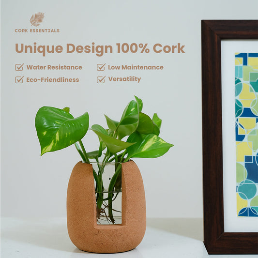 Cork planter with a green plant on a white background