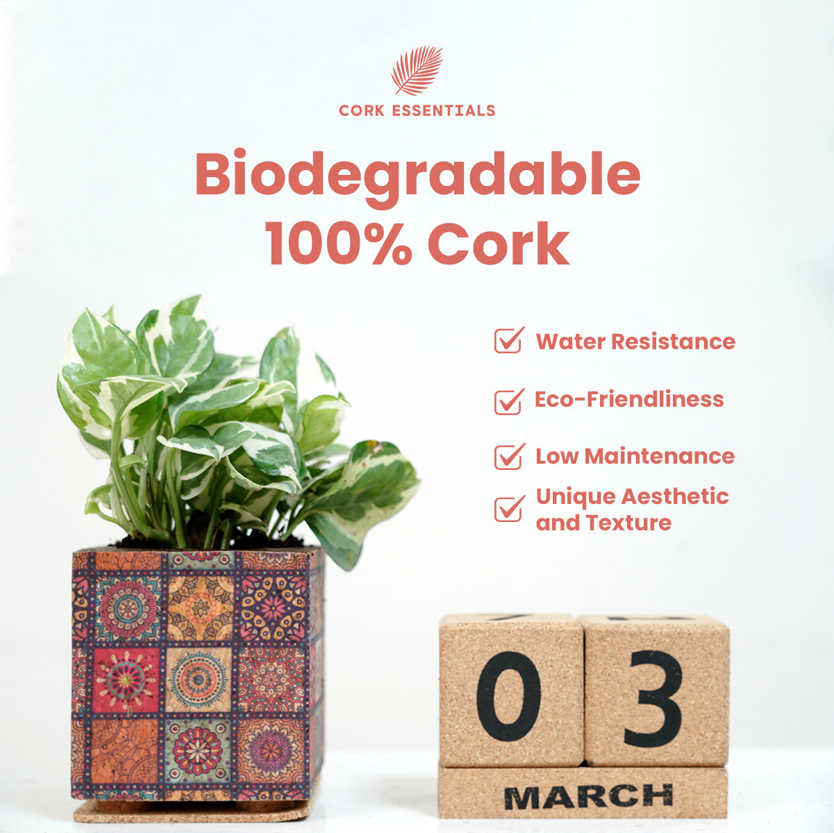 Cork planter with decorative pattern and cork blocks displaying '03 March' on a white background, featuring Cork Essentials branding.