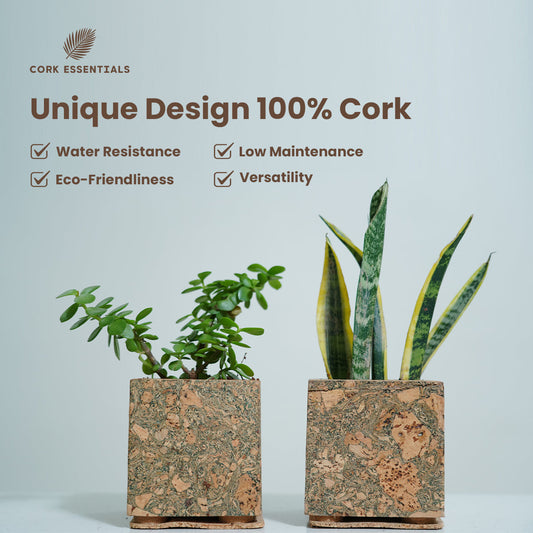 Square cork planter with a plant on a white background