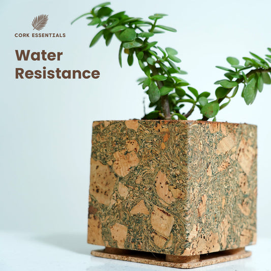 Square cork planter with a plant on a white background