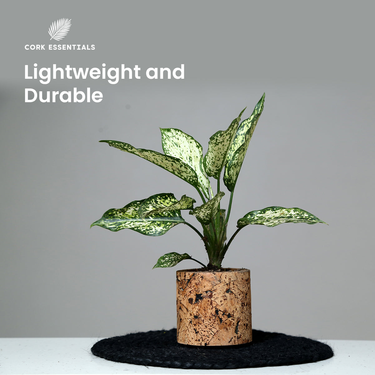 Potted plant in a cork pot with 'Cork Essentials' branding on a gray background