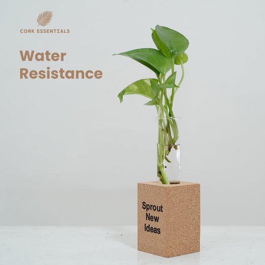 Green potted plant in a pot with 'Sprout New Ideas' text on a white background