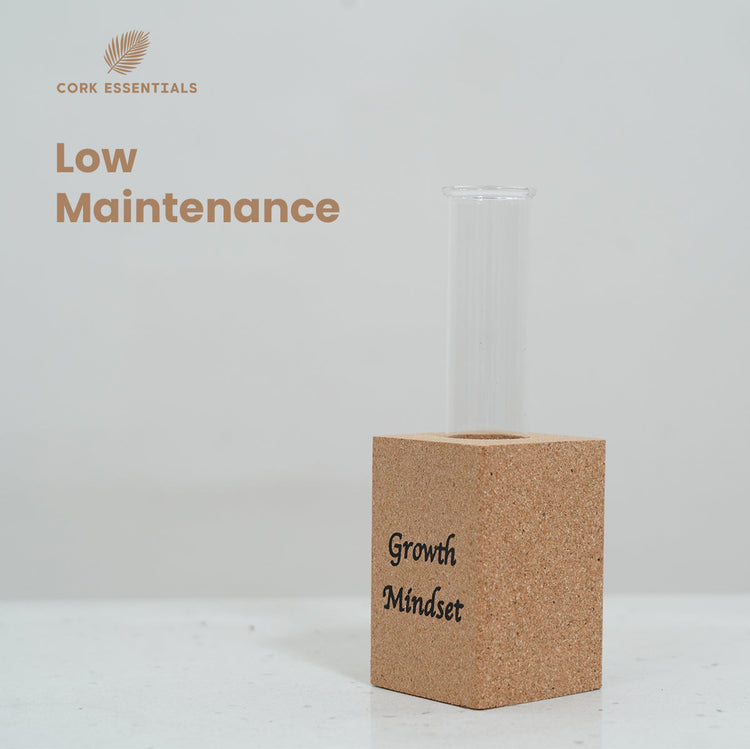 Fridge Magnet Planter Growth Mindset With Test Tube