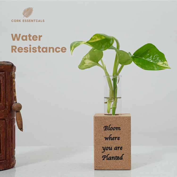 Fridge Magnet Planter Bloom Where Planted With Test Tube