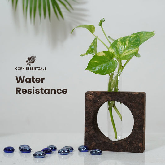 Clear glass vase with plant in a dark brown square holder on a white background
