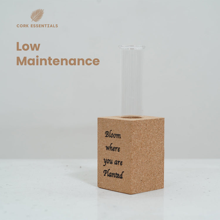 Fridge Magnet Planter Bloom Where Planted With Test Tube