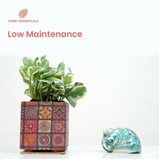 Mandala Print Planter