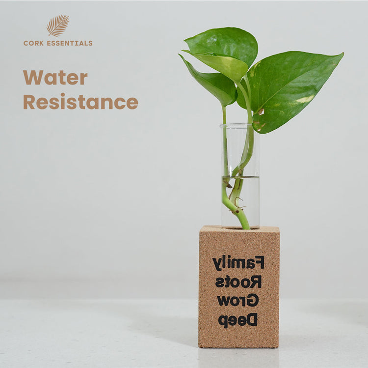 Fridge Magnet Planter Family Roots Grow Deep With Test Tube