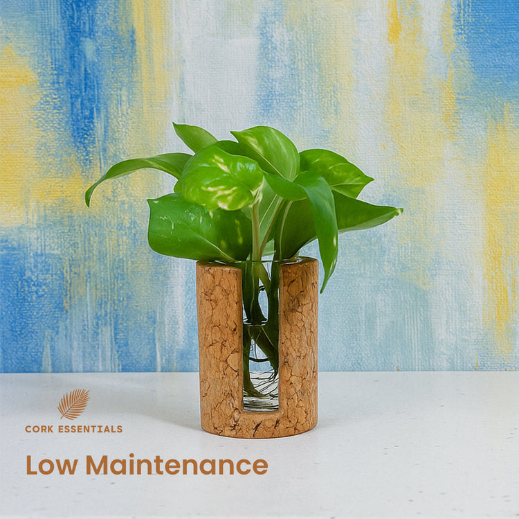 Cylindrical Test Tube Planter